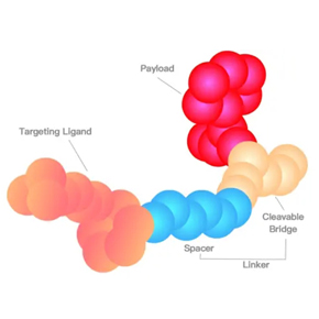 Bioanalysis of polypeptide and PDC drugs