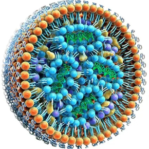 Mass spectrometry analysis of nucleic acid drugs